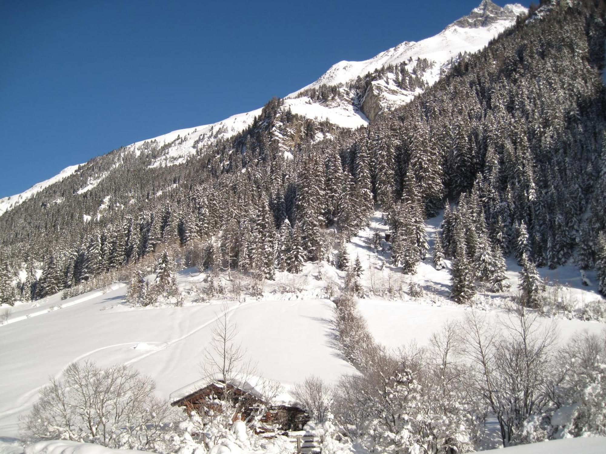 Alpina Appartement Sankt Leonhard im Pitztal Extérieur photo