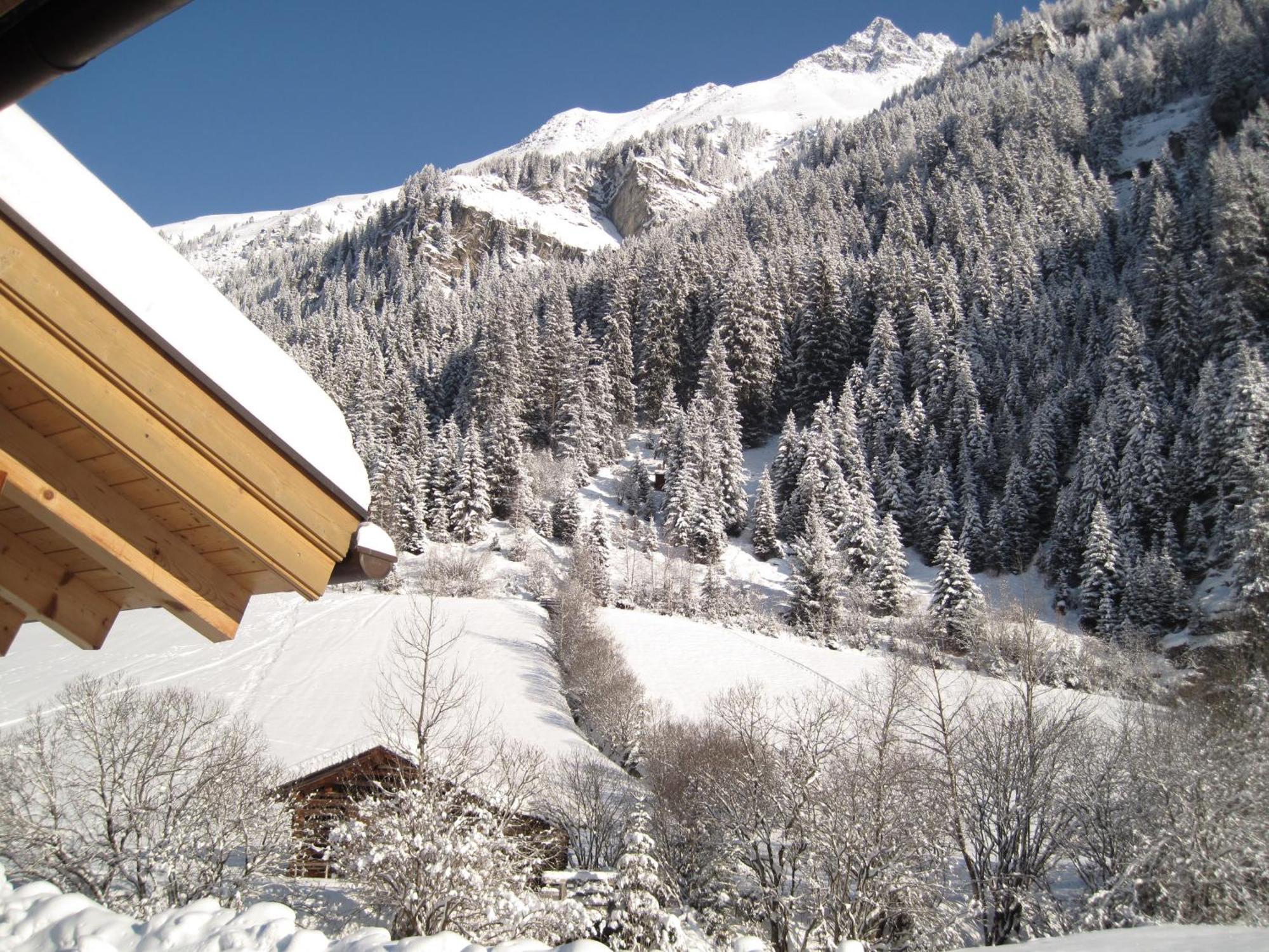 Alpina Appartement Sankt Leonhard im Pitztal Extérieur photo