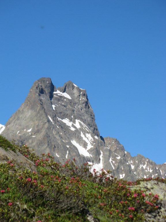 Alpina Appartement Sankt Leonhard im Pitztal Extérieur photo